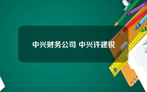 中兴财务公司 中兴许建锐