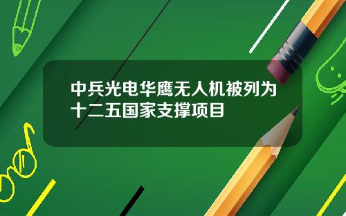 中兵光电华鹰无人机被列为十二五国家支撑项目