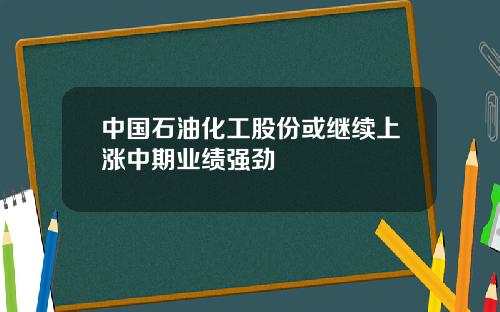 中国石油化工股份或继续上涨中期业绩强劲