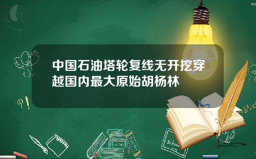 中国石油塔轮复线无开挖穿越国内最大原始胡杨林