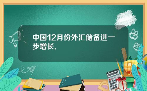 中国12月份外汇储备进一步增长.