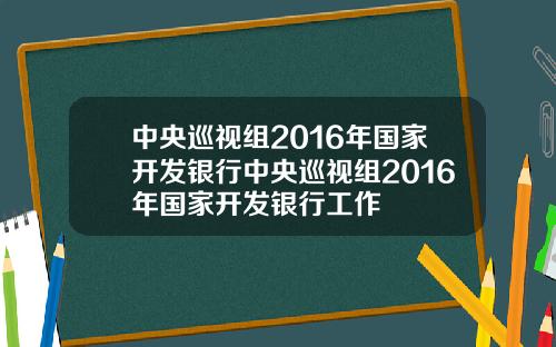 中央巡视组2016年国家开发银行中央巡视组2016年国家开发银行工作