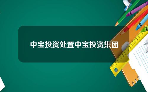 中宝投资处置中宝投资集团