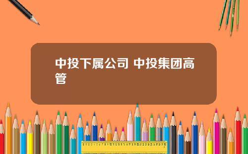 中投下属公司 中投集团高管