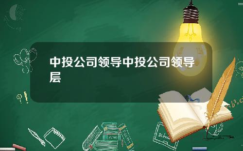 中投公司领导中投公司领导层