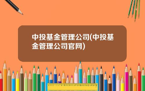 中投基金管理公司(中投基金管理公司官网)