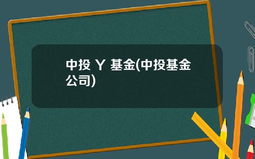 中投 Y 基金(中投基金公司)
