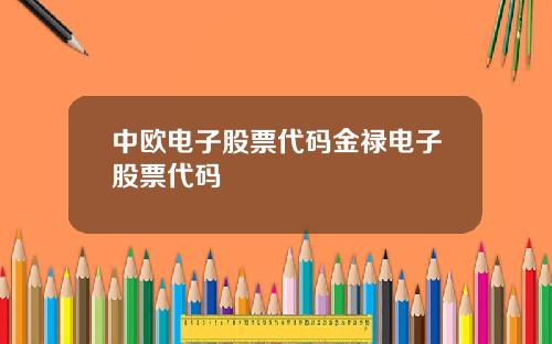中欧电子股票代码金禄电子股票代码