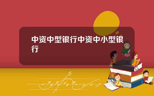 中资中型银行中资中小型银行