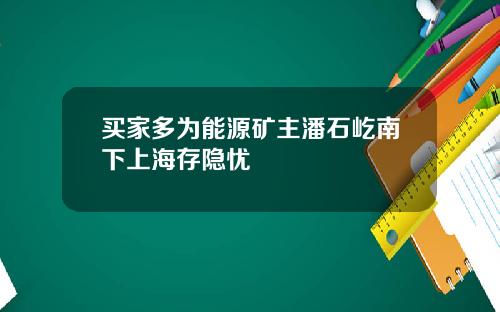 买家多为能源矿主潘石屹南下上海存隐忧