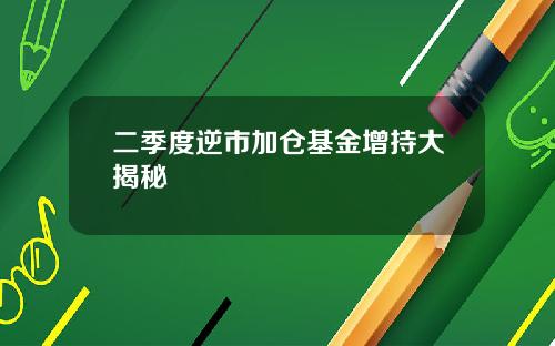 二季度逆市加仓基金增持大揭秘