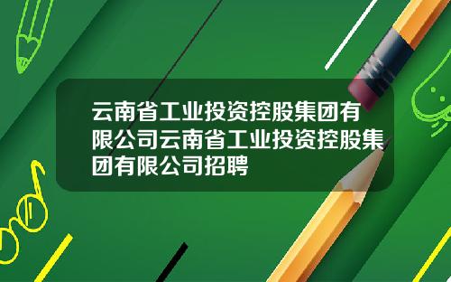 云南省工业投资控股集团有限公司云南省工业投资控股集团有限公司招聘