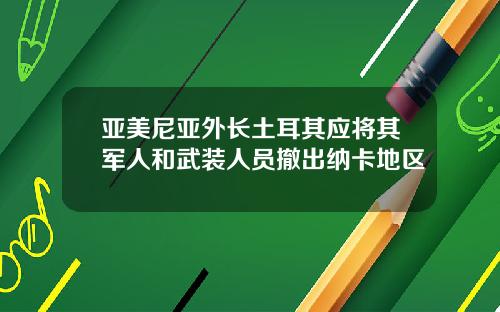 亚美尼亚外长土耳其应将其军人和武装人员撤出纳卡地区