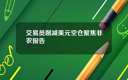 交易员削减美元空仓聚焦非农报告