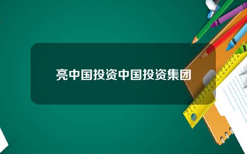 亮中国投资中国投资集团