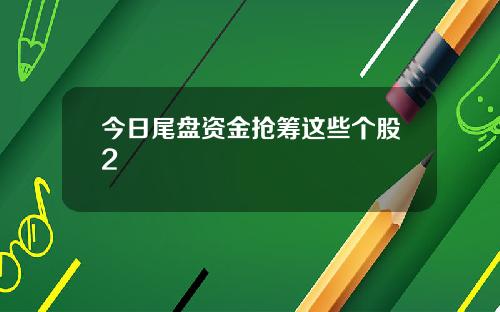 今日尾盘资金抢筹这些个股2