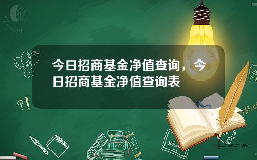 今日招商基金净值查询,今日招商基金净值查询表