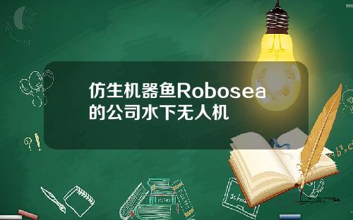 仿生机器鱼Robosea的公司水下无人机