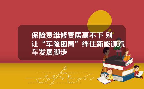 保险费维修费居高不下 别让“车险困局”绊住新能源汽车发展脚步