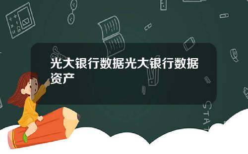 光大银行数据光大银行数据资产