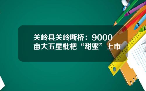 关岭县关岭断桥:9000亩大五星枇杷“甜蜜”上市