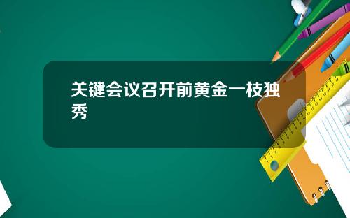 关键会议召开前黄金一枝独秀