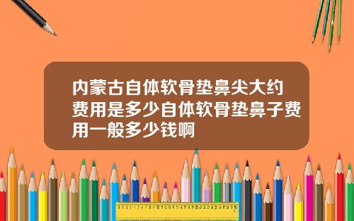 内蒙古自体软骨垫鼻尖大约费用是多少自体软骨垫鼻子费用一般多少钱啊