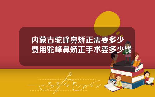 内蒙古驼峰鼻矫正需要多少费用驼峰鼻矫正手术要多少钱