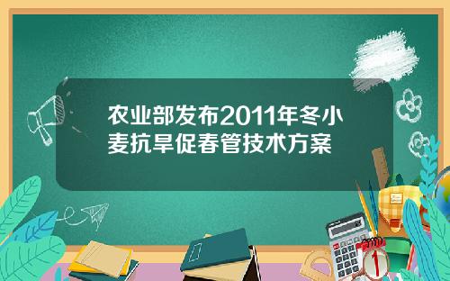 农业部发布2011年冬小麦抗旱促春管技术方案