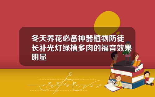 冬天养花必备神器植物防徒长补光灯绿植多肉的福音效果明显