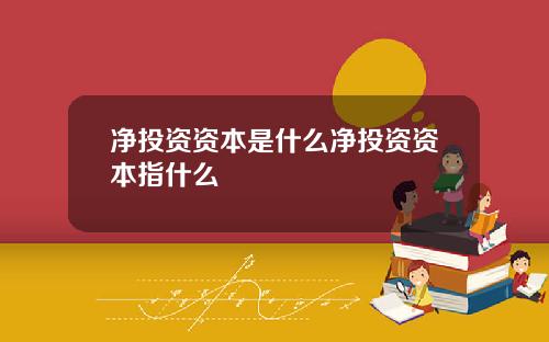 净投资资本是什么净投资资本指什么