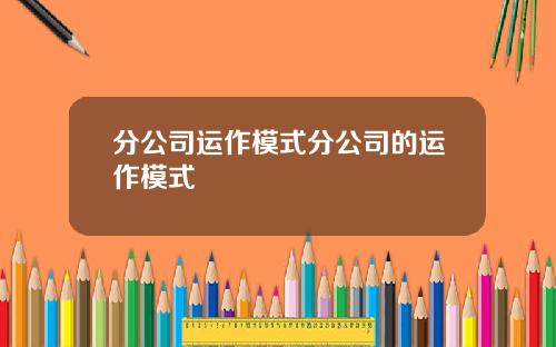 分公司运作模式分公司的运作模式