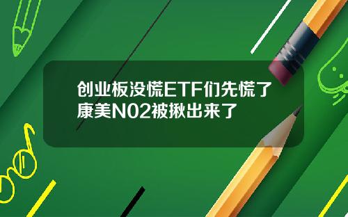 创业板没慌ETF们先慌了康美N02被揪出来了