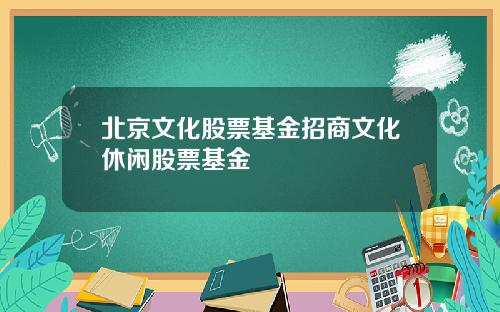 北京文化股票基金招商文化休闲股票基金