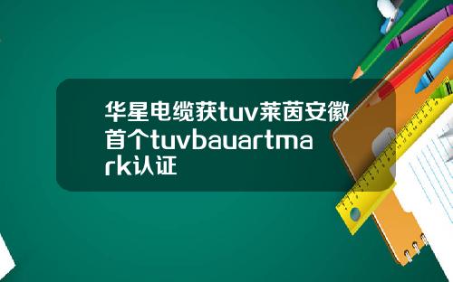华星电缆获tuv莱茵安徽首个tuvbauartmark认证