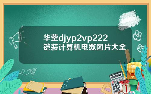 华蓥djyp2vp222铠装计算机电缆图片大全