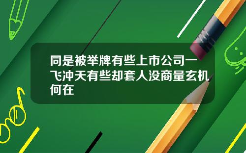 同是被举牌有些上市公司一飞冲天有些却套人没商量玄机何在