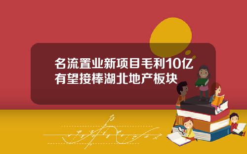 名流置业新项目毛利10亿有望接棒湖北地产板块
