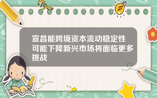 宣昌能跨境资本流动稳定性可能下降新兴市场将面临更多挑战