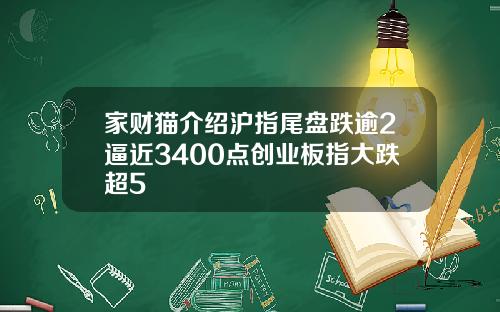 家财猫介绍沪指尾盘跌逾2逼近3400点创业板指大跌超5
