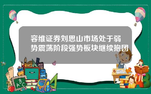 容维证券刘思山市场处于弱势震荡阶段强势板块继续抱团