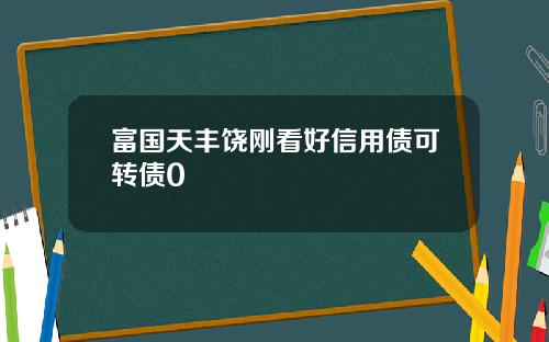 富国天丰饶刚看好信用债可转债0