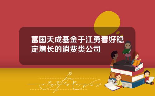 富国天成基金于江勇看好稳定增长的消费类公司