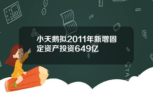 小天鹅拟2011年新增固定资产投资649亿