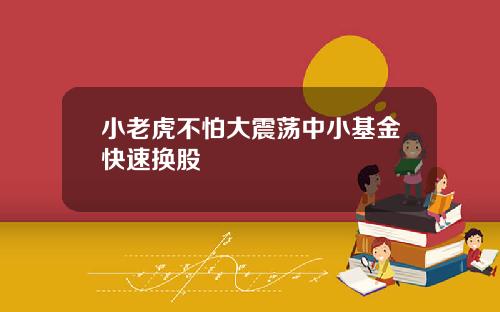 小老虎不怕大震荡中小基金快速换股