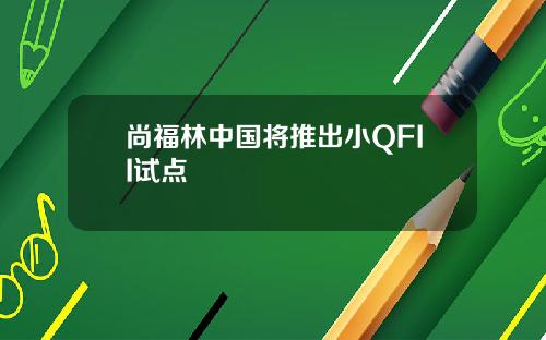 尚福林中国将推出小QFII试点