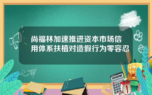 尚福林加速推进资本市场信用体系扶植对造假行为零容忍