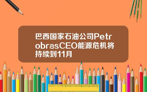 巴西国家石油公司PetrobrasCEO能源危机将持续到11月