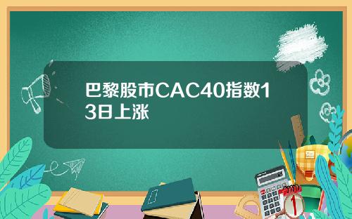 巴黎股市CAC40指数13日上涨