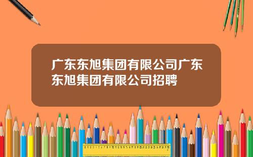 广东东旭集团有限公司广东东旭集团有限公司招聘